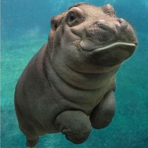 Meet your Posher, Jami